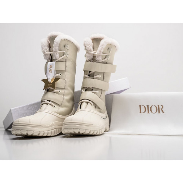 Зимние Ботинки Dior D Venture Leather